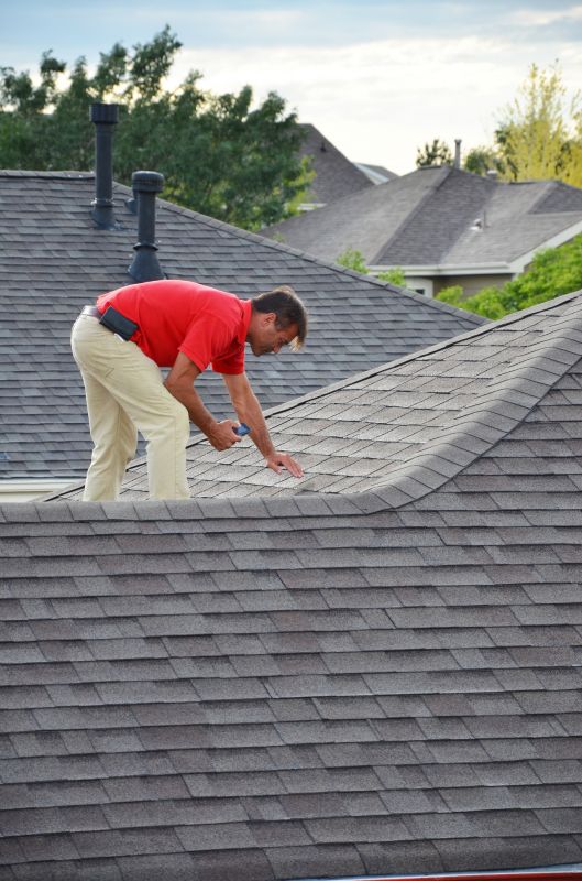 Roof Material Inspection